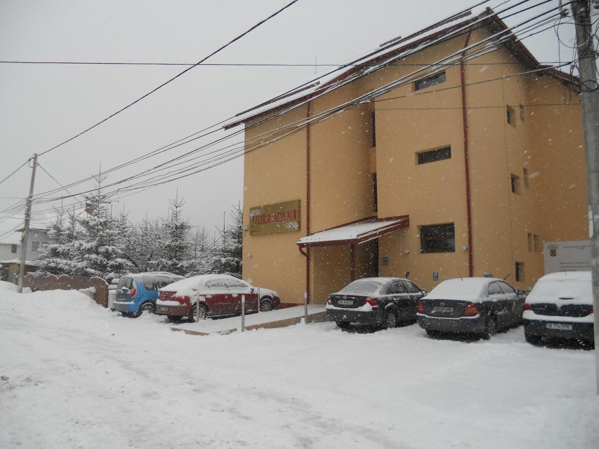 Flora Alpina Hotel Azuga Exterior foto